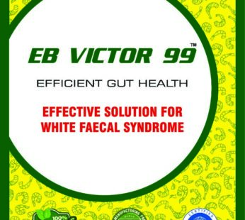 EB Victor 99