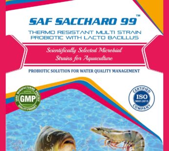 SAF SACCHARO 99