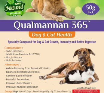 Qualmannan 365