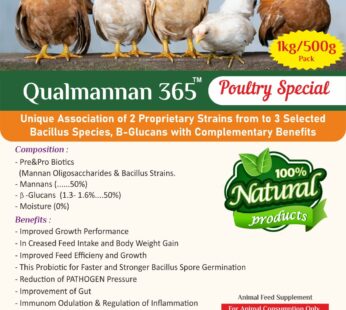 Qualmannam 365