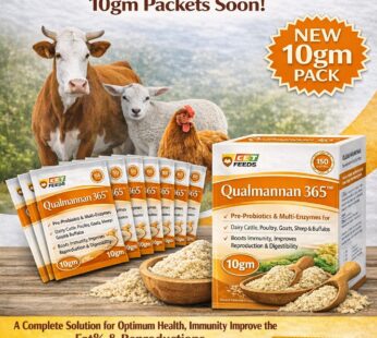 Qualmannan 365 10gm