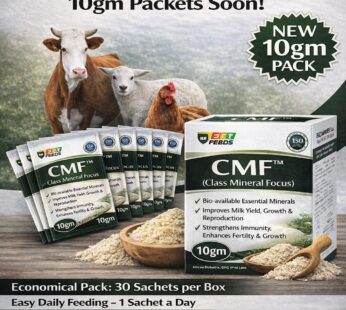 CMF (Class Mineral Focus ) 10gm